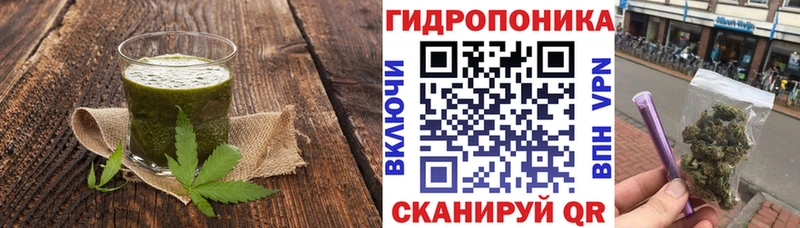 наркотики  Шарья  Печенье с ТГК конопля 