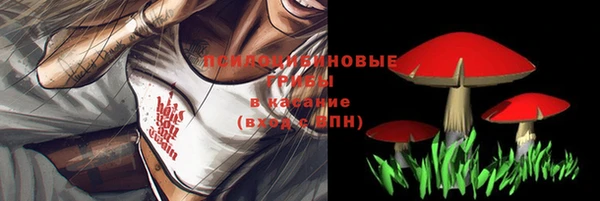 трава Абинск
