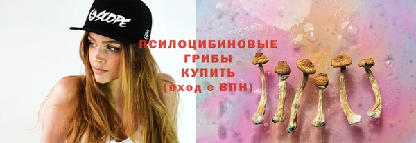 PSILOCYBIN Абаза