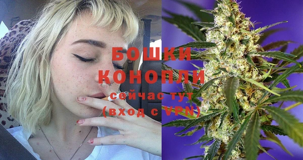PSILOCYBIN Абаза