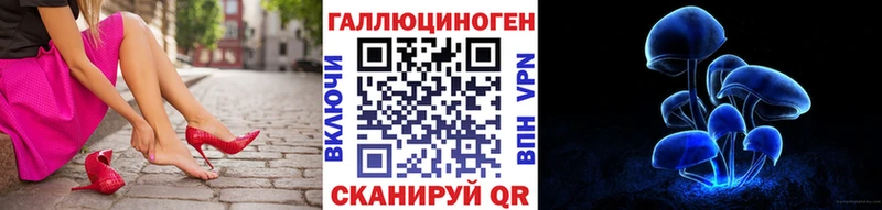 Псилоцибиновые грибы Psilocybine cubensis  Шарья 